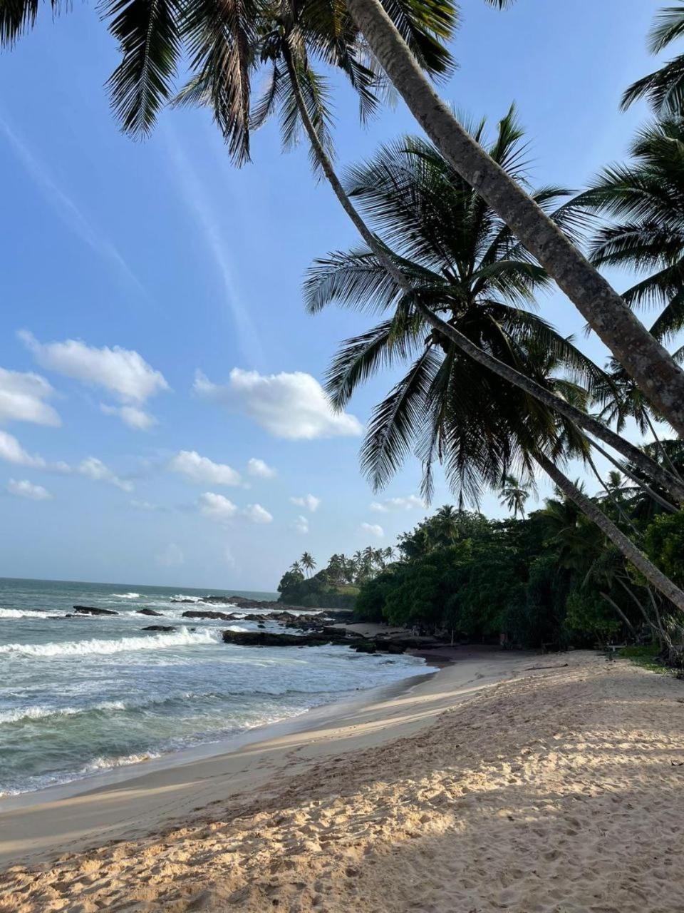 Zodiak Hotel Tangalle Exterior foto